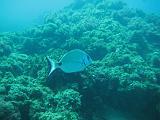 2009-09-08 13-25-42S
